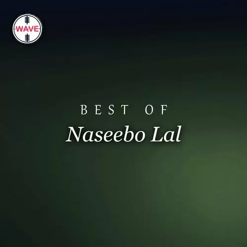 Best Of Naseebo Lal Songs