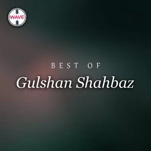 Moj Lag Gai Gulshan Shahbaz Mp3 Download Song - Mr-Punjab