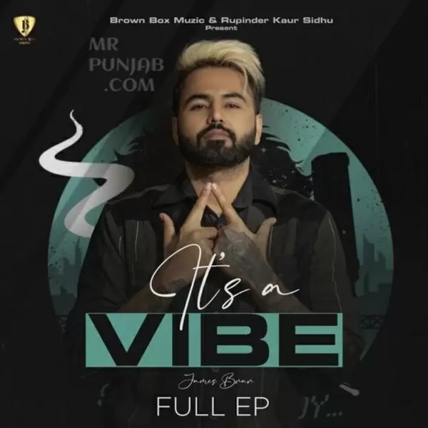 Its A Vibe Vol.1 Songs