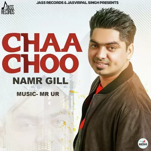 Chaa Choo Namr Gill Mp3 Download Song - Mr-Punjab