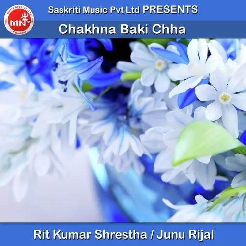 Chakhna Baki Chha Rit Kumar Shrestha Mp3 Download Song - Mr-Punjab