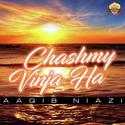 Chashmy Vinja Ha Aaqib Niazi Mp3 Download Song - Mr-Punjab