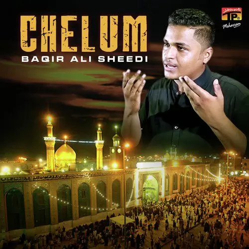 Hay Zahra Baqir Ali Sheedi Mp3 Download Song - Mr-Punjab