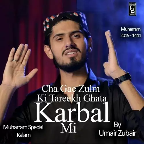 Cha Gae Zulm Ki Tareekh Ghata Karbal Mi Umair Zubair Mp3 Download Song - Mr-Punjab