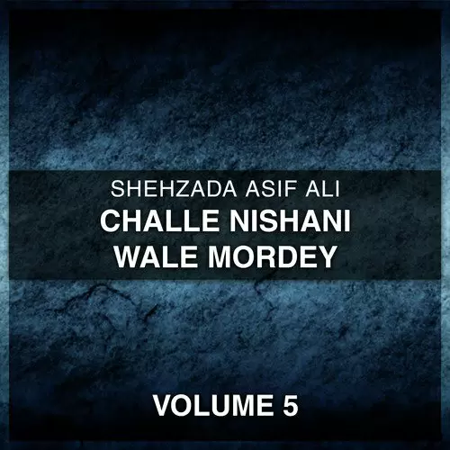 Shadi Aj Hai Sajan Di Shehzada Asif Ali Mp3 Download Song - Mr-Punjab