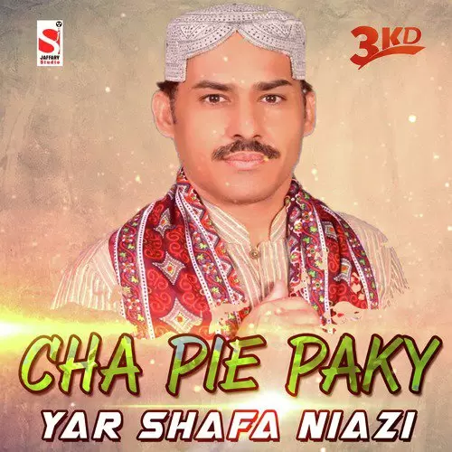 Cha Pie Paky Yar Shafa Niazi Mp3 Download Song - Mr-Punjab