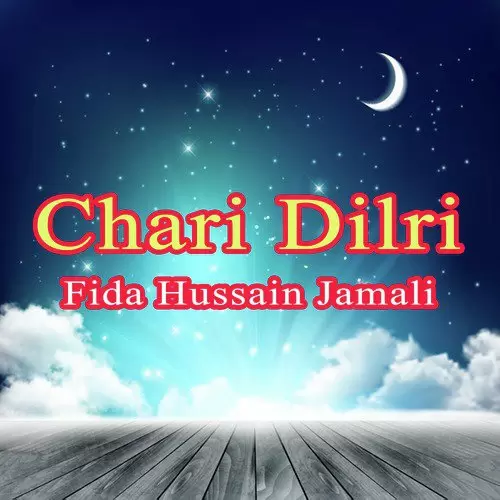 Chari Dilri Hane Chup Kar Fida Hussain Jamali Mp3 Download Song - Mr-Punjab