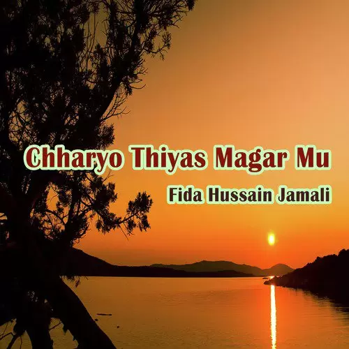 Charyo Thiyas Mager Mu Fida Hussain Jamali Mp3 Download Song - Mr-Punjab