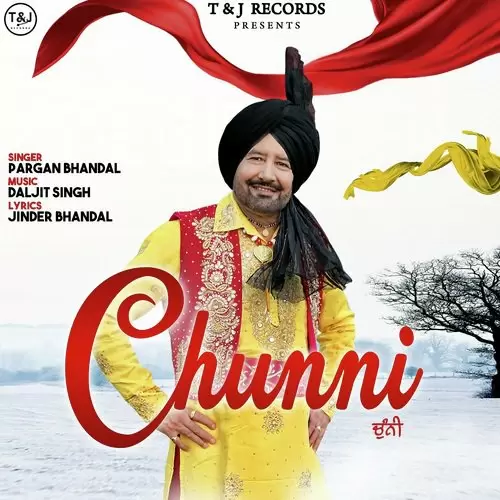 Chunni Pargan Bhandal Mp3 Download Song - Mr-Punjab