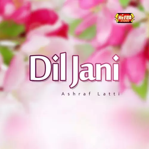 Dil Jani Songs