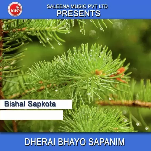 Dherai Bhayo Sapanim Bishal Sapkota Mp3 Download Song - Mr-Punjab