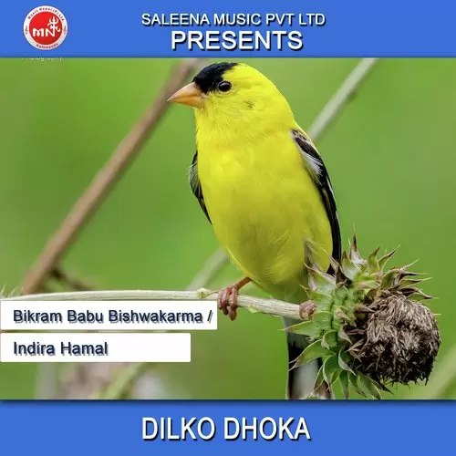 Dilko Dhoka Bikram Babu Bishwakarma Mp3 Download Song - Mr-Punjab