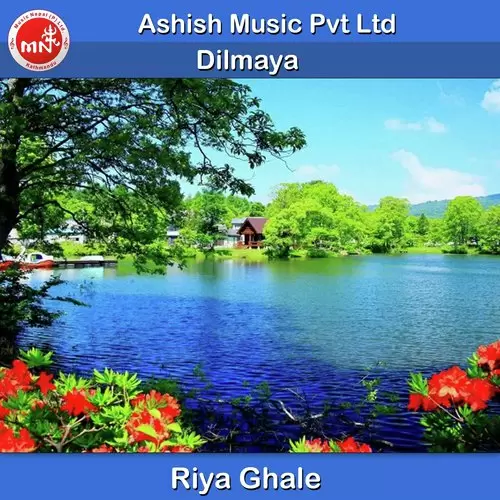 Dilmaya Riya Ghale Mp3 Download Song - Mr-Punjab