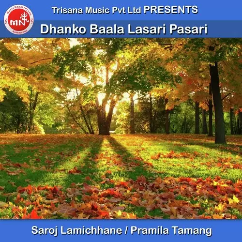 Dhanko Baala Lasari Pasari Saroj Lamichhane Mp3 Download Song - Mr-Punjab