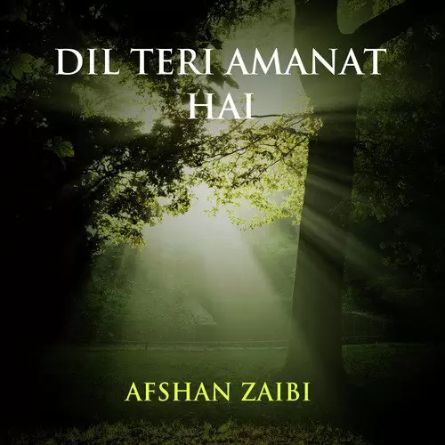 Dil Teri Amanat Ae Afshan Zaibi Mp3 Download Song - Mr-Punjab