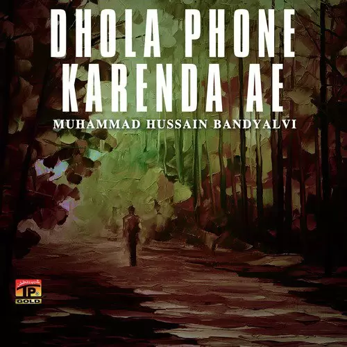 Dhola Phone Karenda Ae Songs