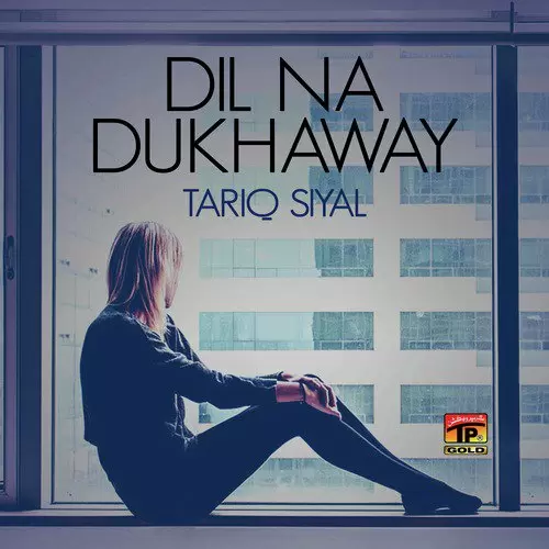 Dil Na Dukhaway Tariq Siyal Mp3 Download Song - Mr-Punjab