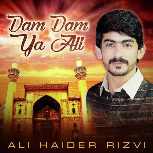 Dam Dam Ya Ali Ali Haider Rizvi Mp3 Download Song - Mr-Punjab