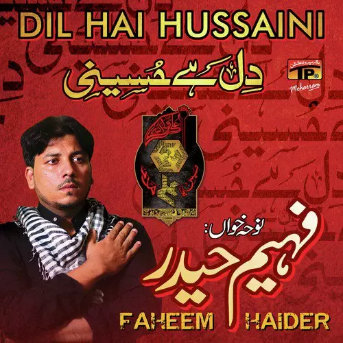 Dil Hai Hussaini Faheem Haider Mp3 Download Song - Mr-Punjab
