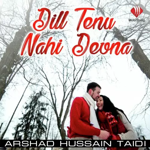 Dill Tenu Nahi Devna Arshad Hussain Taidi Mp3 Download Song - Mr-Punjab