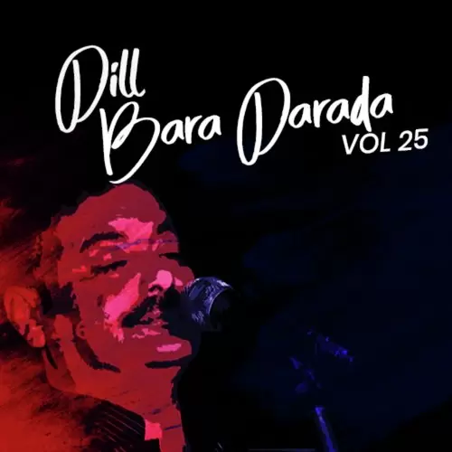 Dil Bara Darada, Vol. 25 Songs