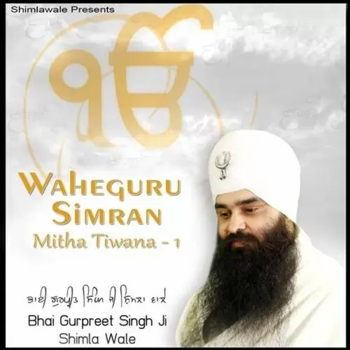 Waheguru Simran Mitha Tiwana, Vol. 1 Bhai Gurpreet Singh Ji Mp3 Download Song - Mr-Punjab