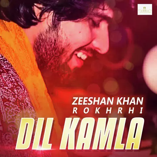 Dil Kamla Zeeshan Khan Rokhrhi Mp3 Download Song - Mr-Punjab