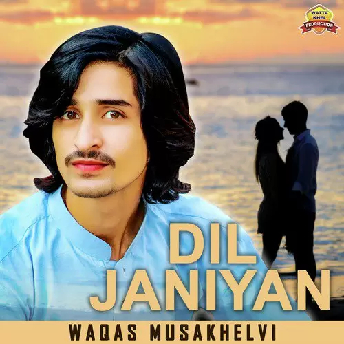 Dil Janiyan Waqas Musakhelvi Mp3 Download Song - Mr-Punjab