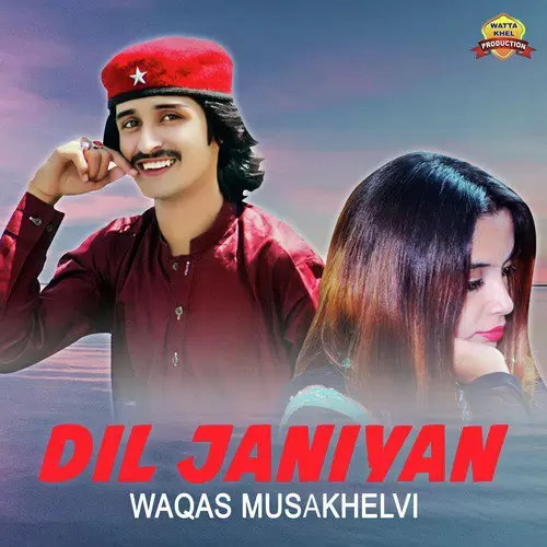 Dil Janiyan Waqas Musakhelvi Mp3 Download Song - Mr-Punjab