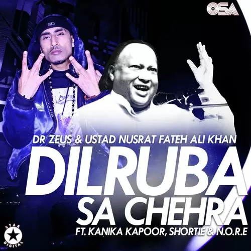 Dilruba  Sa Chehra Dr Zeus Mp3 Download Song - Mr-Punjab