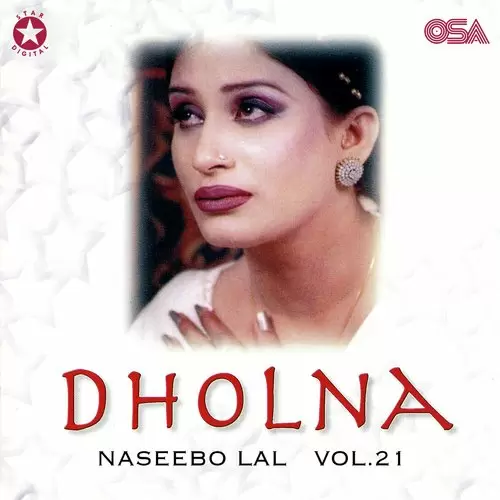 Hun Kalian Ni Lagda Ae Dil Dholna - Album Song by Naseebo Lal - Mr-Punjab