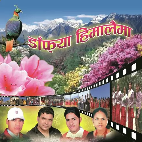 Dafe Himalaima Prakash Thapa And Tika Pun Mp3 Download Song - Mr-Punjab