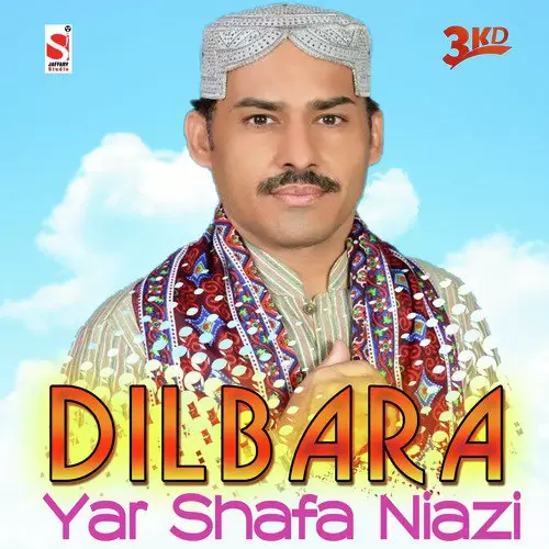 Dilbara Yar Shafa Niazi Mp3 Download Song - Mr-Punjab