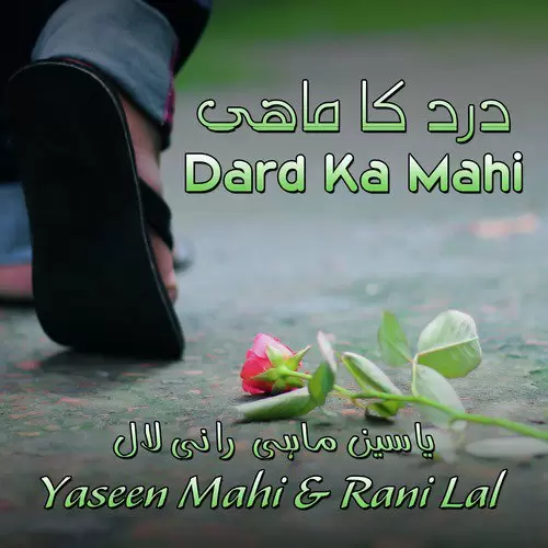 Dard Ka Mahi Songs