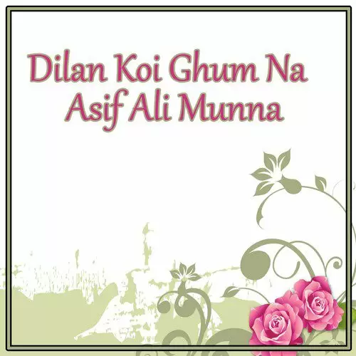 Tun Dilan Koi Ghum Na Asif Ali Munna Mp3 Download Song - Mr-Punjab