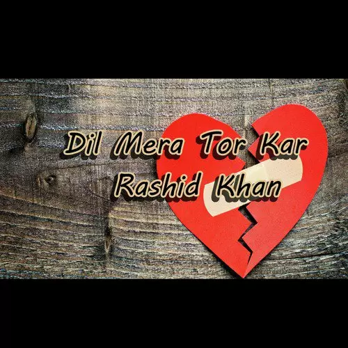 Aa Hans Laiye Rashid Khan Mp3 Download Song - Mr-Punjab