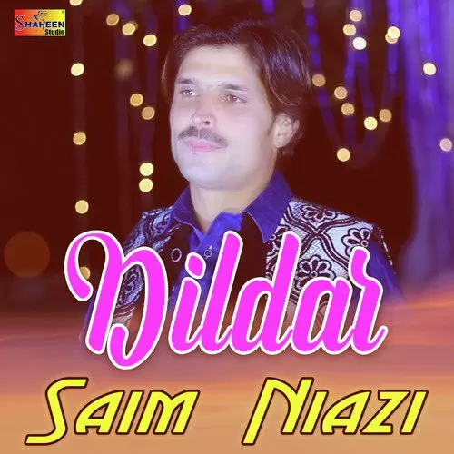 Dildar Saim Niazi Mp3 Download Song - Mr-Punjab