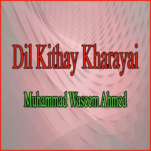 Dil Kithay Kharayai Muhammad Waseem Ahmed Mp3 Download Song - Mr-Punjab