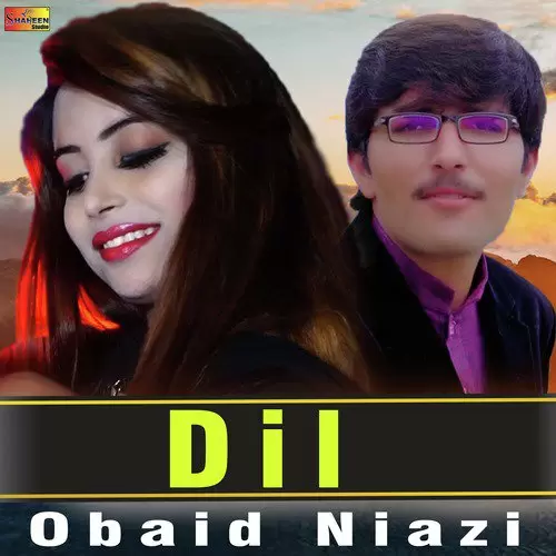 Dil Obaid Niazi Mp3 Download Song - Mr-Punjab