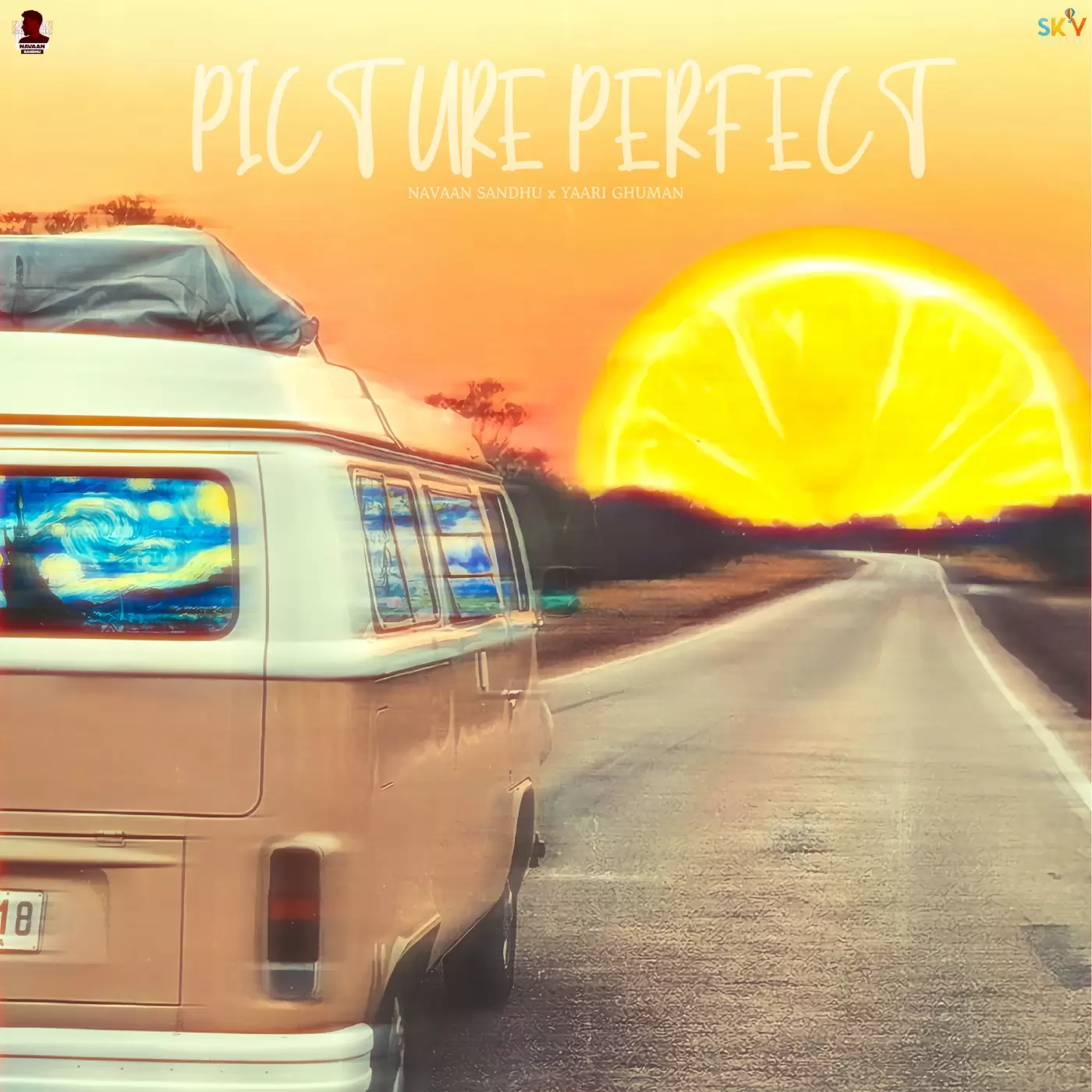 Picture Perfect Navaan Sandhu Mp3 Download Song - Mr-Punjab
