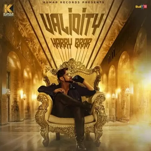 Validity Harry Brar Mp3 Download Song - Mr-Punjab