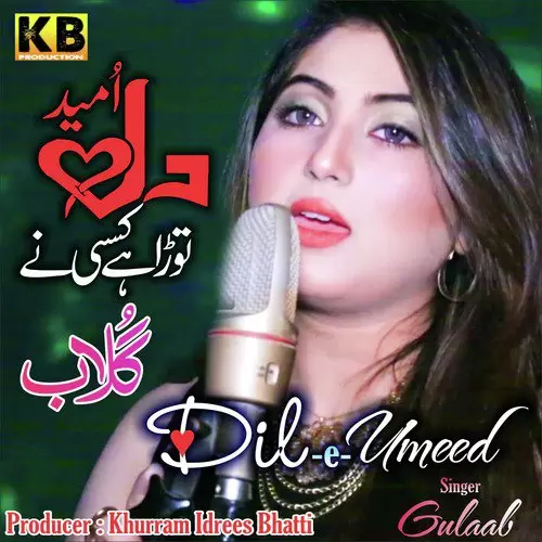 Dil E Umeed Gulaab Mp3 Download Song - Mr-Punjab