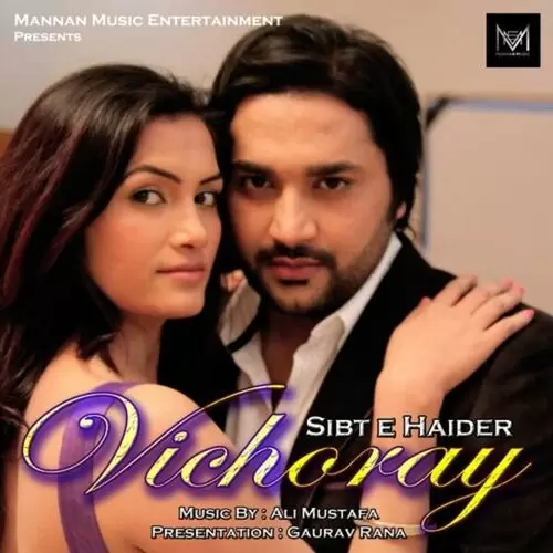 Vichoray Sibt E. Haider Mp3 Download Song - Mr-Punjab
