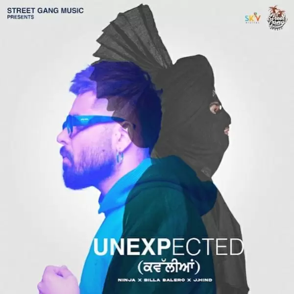 Unexpected Ninja Mp3 Download Song - Mr-Punjab