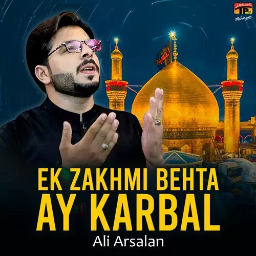 Ek Zakhmi Behta Ay Karbal Ali Arsalan Mp3 Download Song - Mr-Punjab