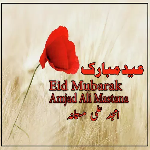 Dil Soch Samajh Amjad Ali Mastana Mp3 Download Song - Mr-Punjab