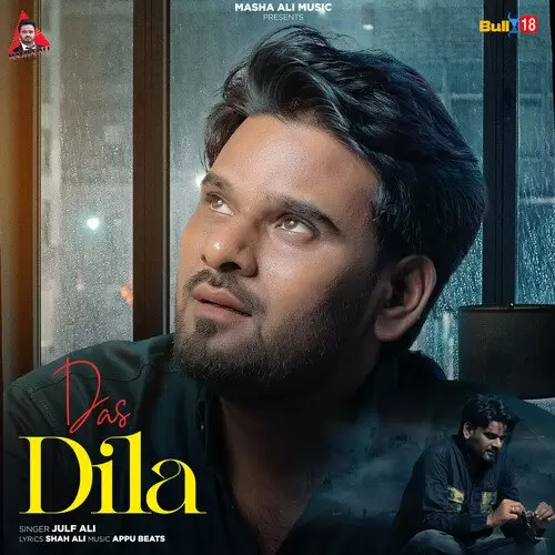 Das Dila Julf Ali Mp3 Download Song - Mr-Punjab