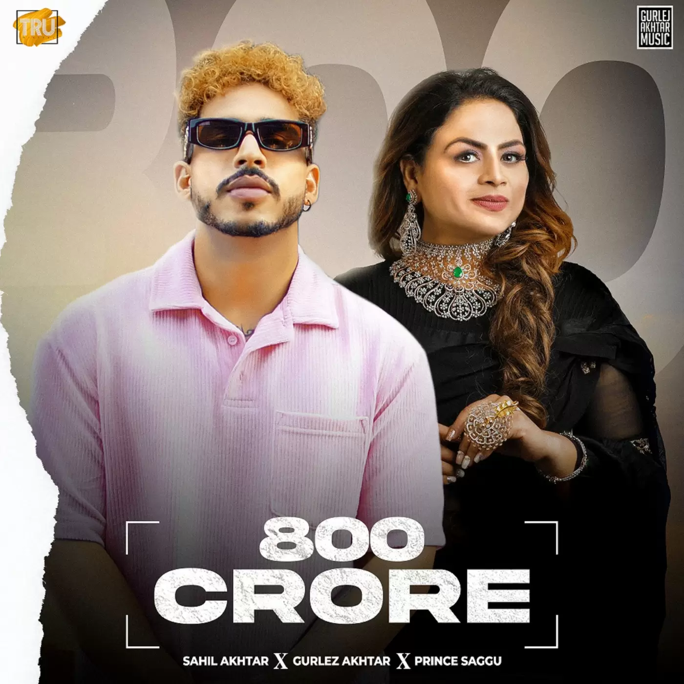 800 Crore Sahil Akhtar Mp3 Download Song - Mr-Punjab