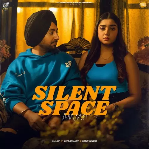 Silent Space Ammri Mp3 Download Song - Mr-Punjab