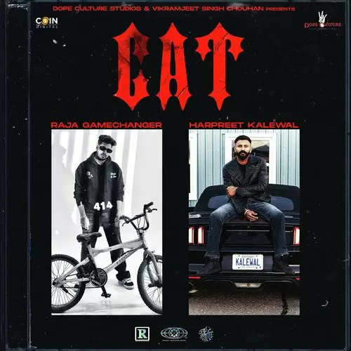 Cat Raja Gamechanger Mp3 Download Song - Mr-Punjab